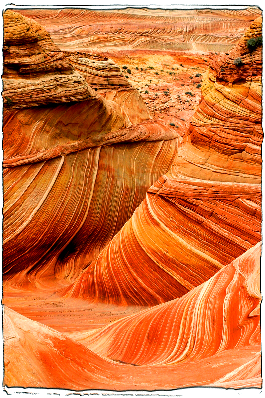 The Wave 3 Coyote Buttes South, AZ � Dave Hickey